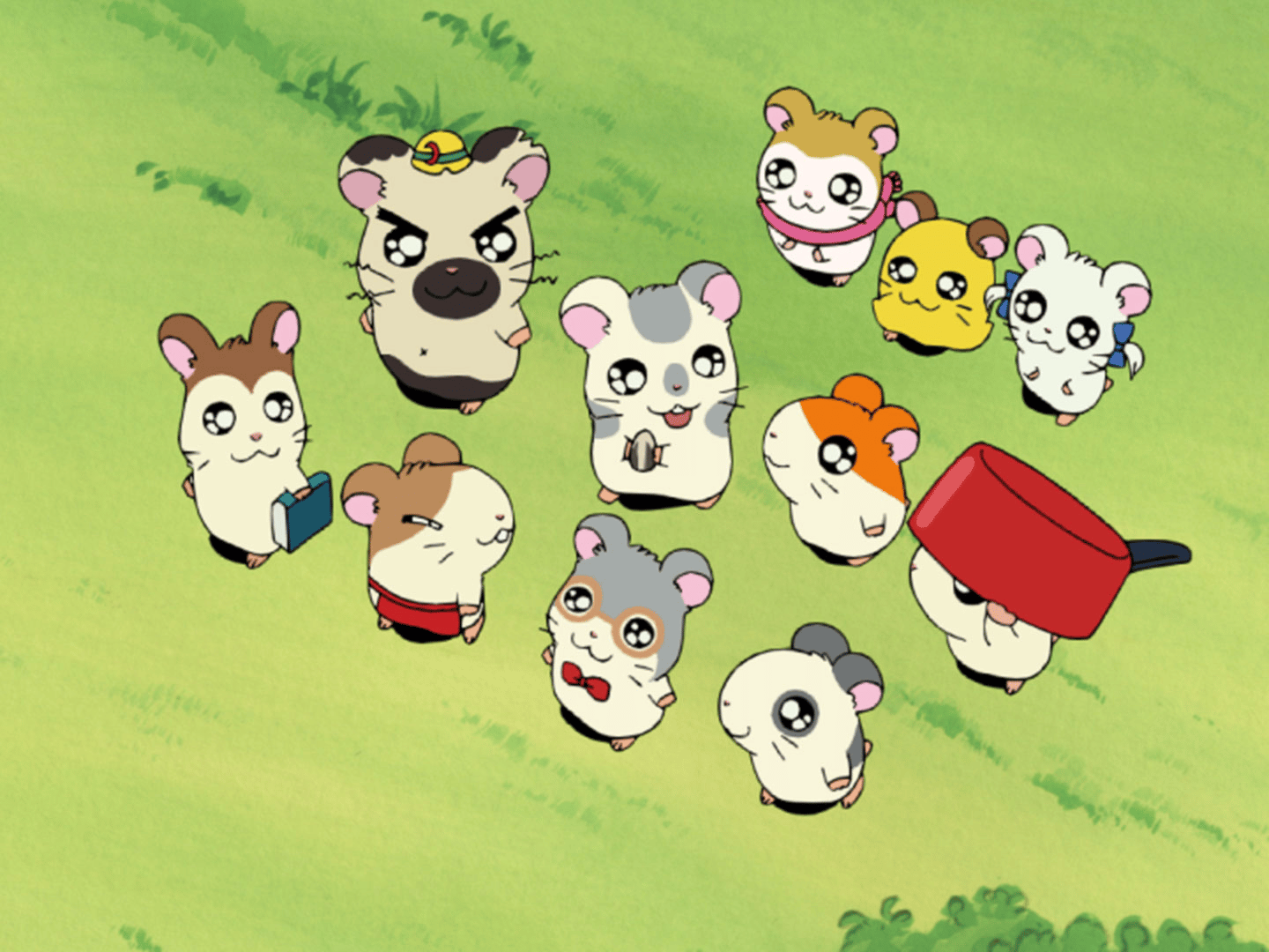 とっとこハム太郎 - とっとこハム太郎 - 51話 (アニメ) | 無料動画