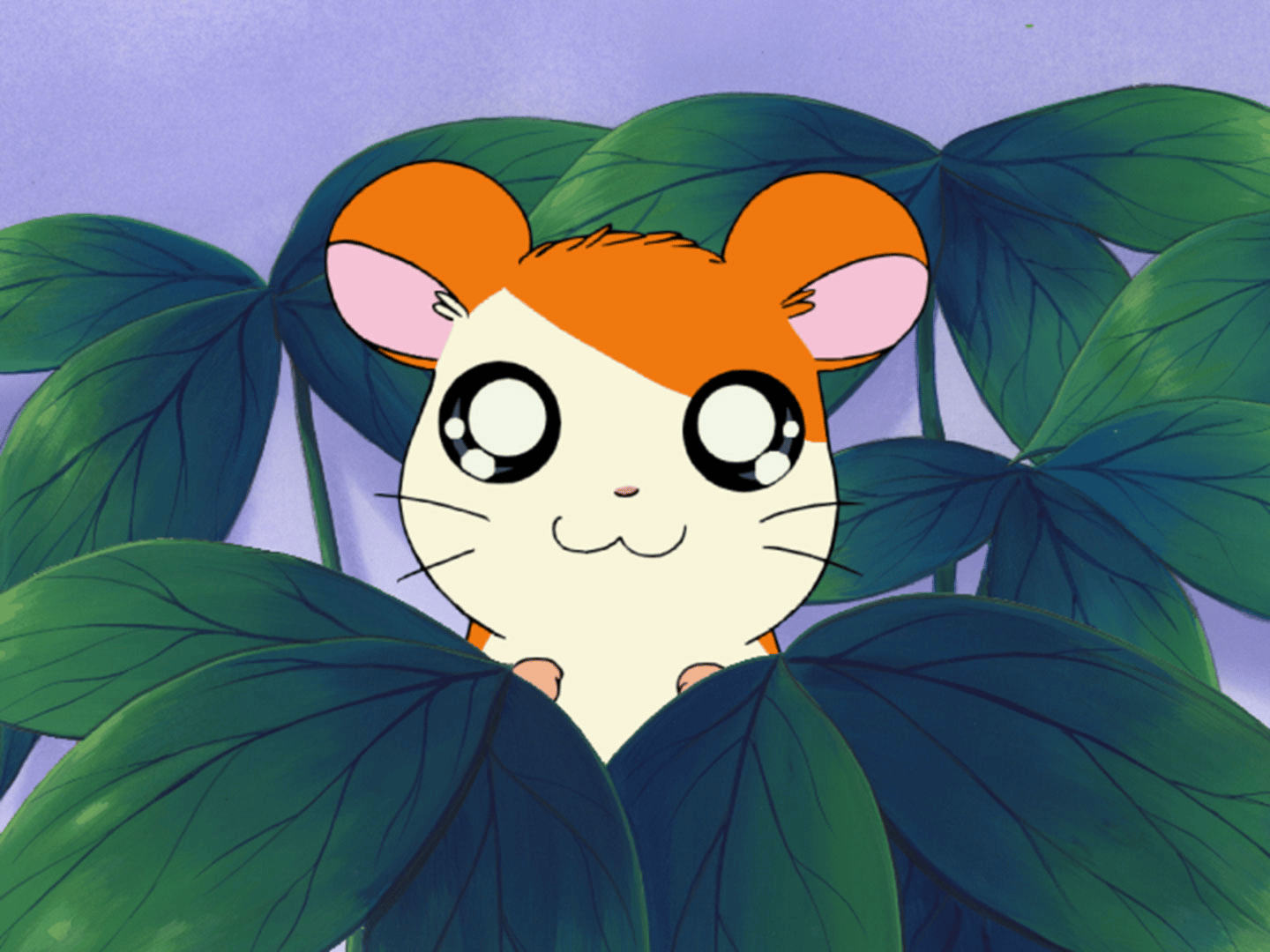 thumb002.png?height=720&