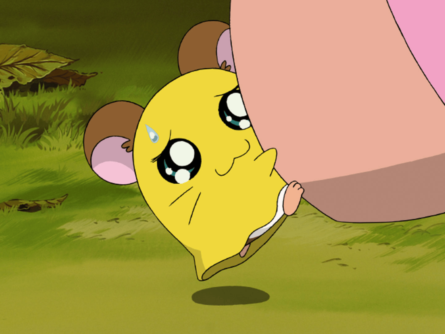 とっとと〜食べろよハム太郎♪♪様 リクエスト 3点 まとめ商品 ハムちゃんずたちがフロッキードールになって登場！ | ハム太郎