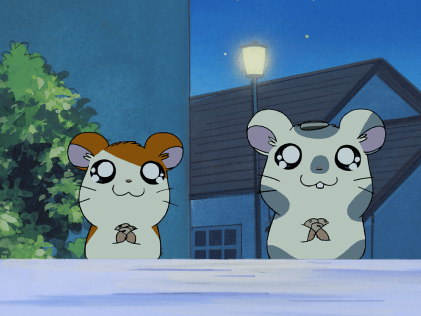 thumb002.png?height=144&