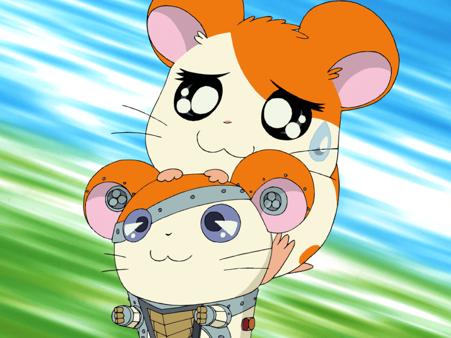 とっとこと様専用 はむたろう様専用 ハム太郎様専用ページ とっとこ