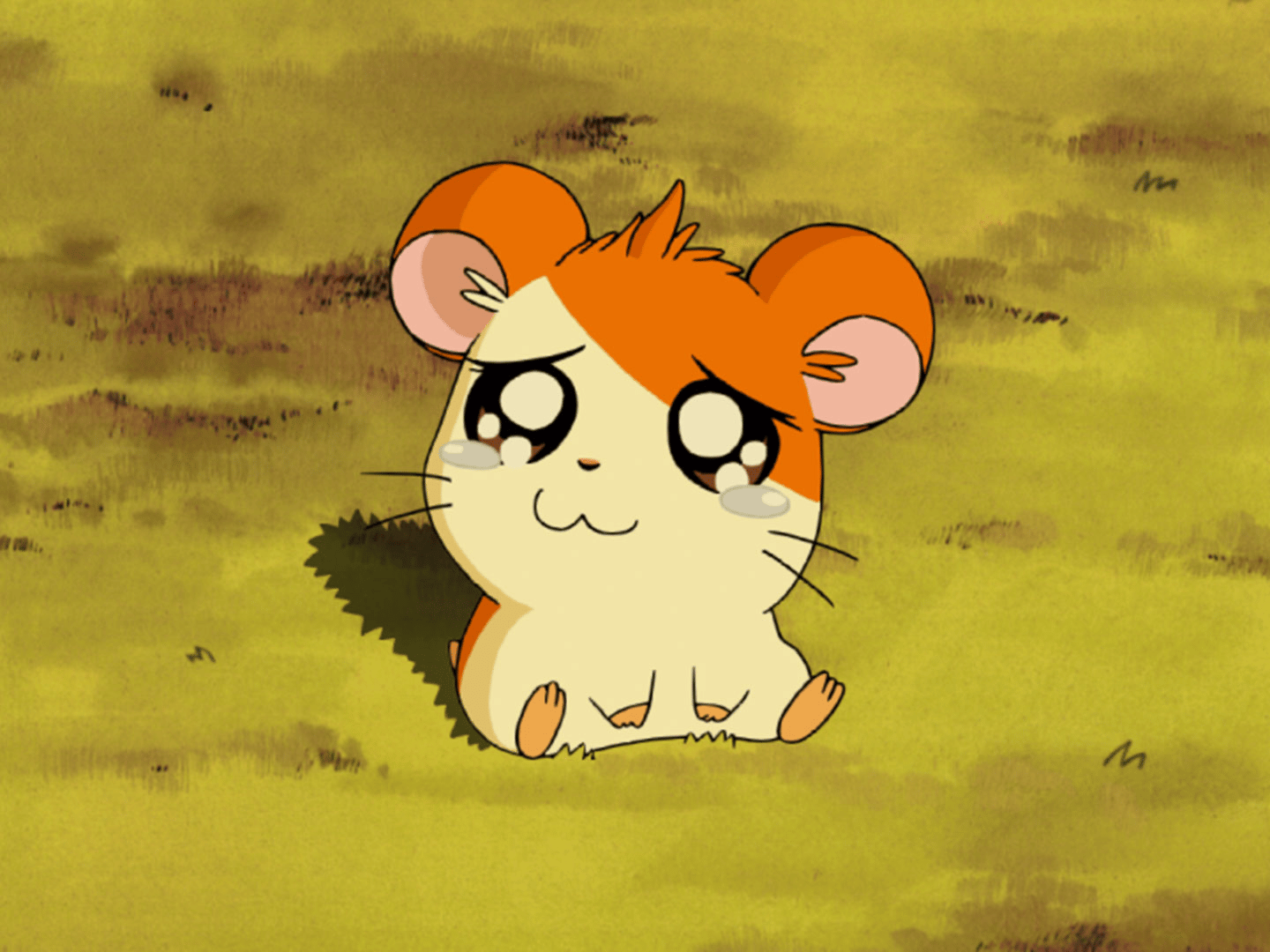 thumb002.png?height=720&