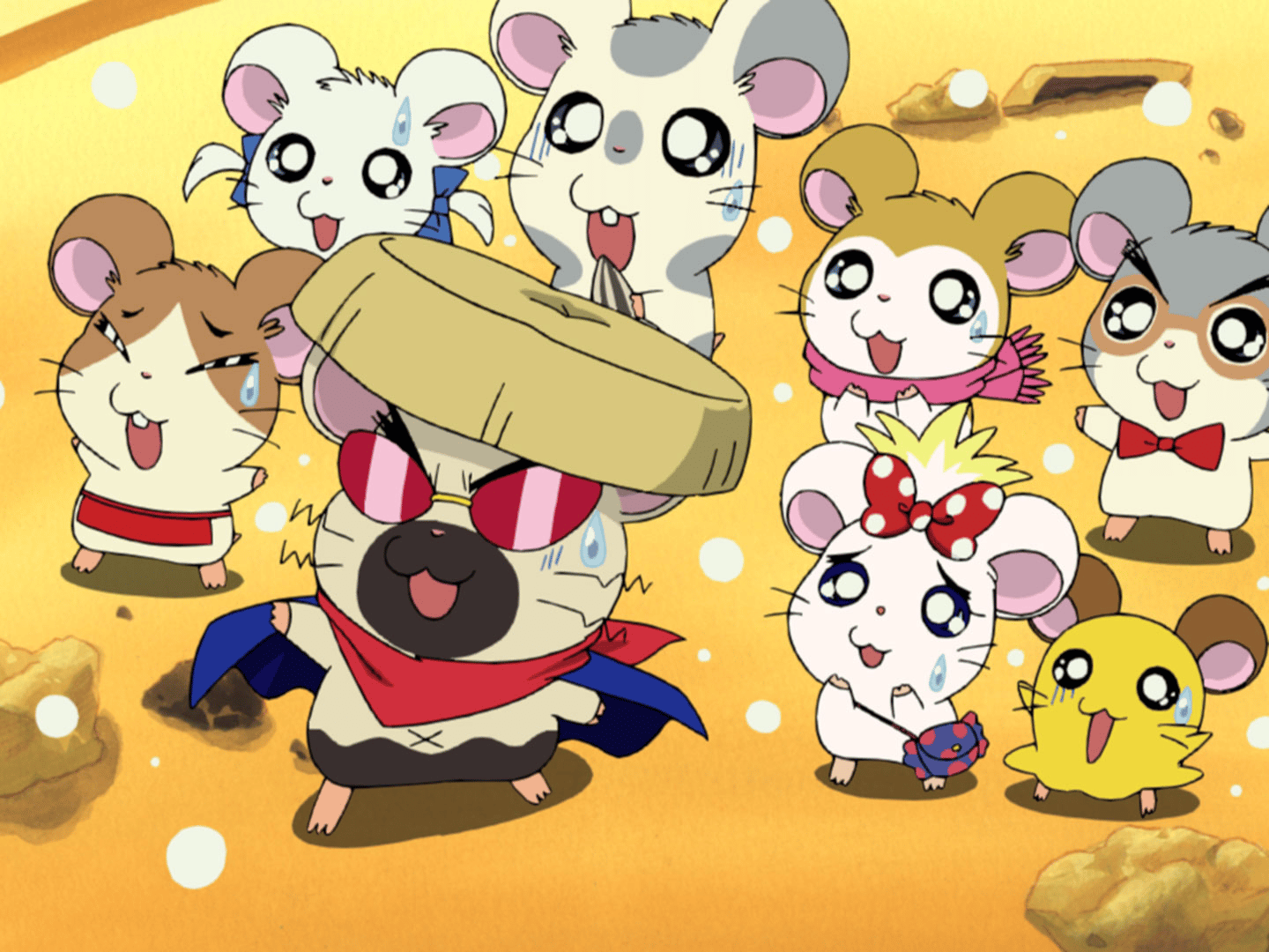 とっとこハム太郎 - とっとこハム太郎 はむはむぱらだいちゅ！ - 269話