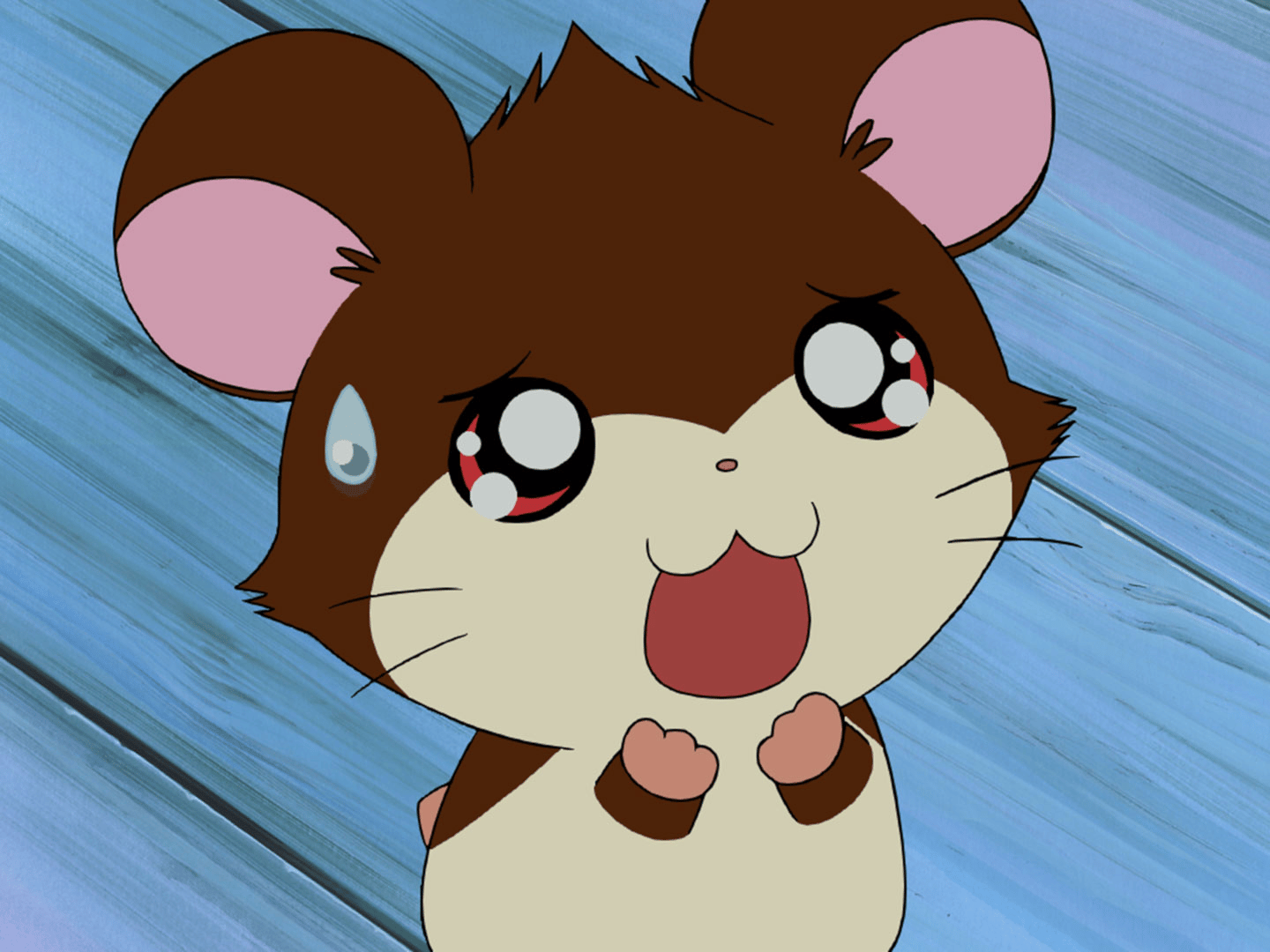 ハムの人　2 518yHEFjeHL._SY200_QL15_.jpg