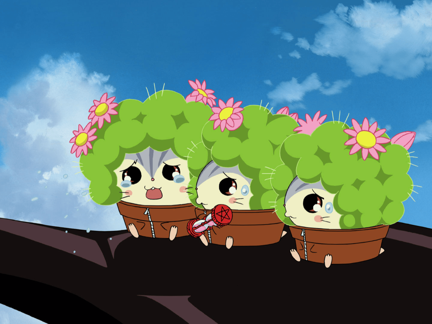 はむ太郎様 Amazon.co.jp: とっとこハム太郎(3) [VHS] : 間宮くるみ, 池澤春菜