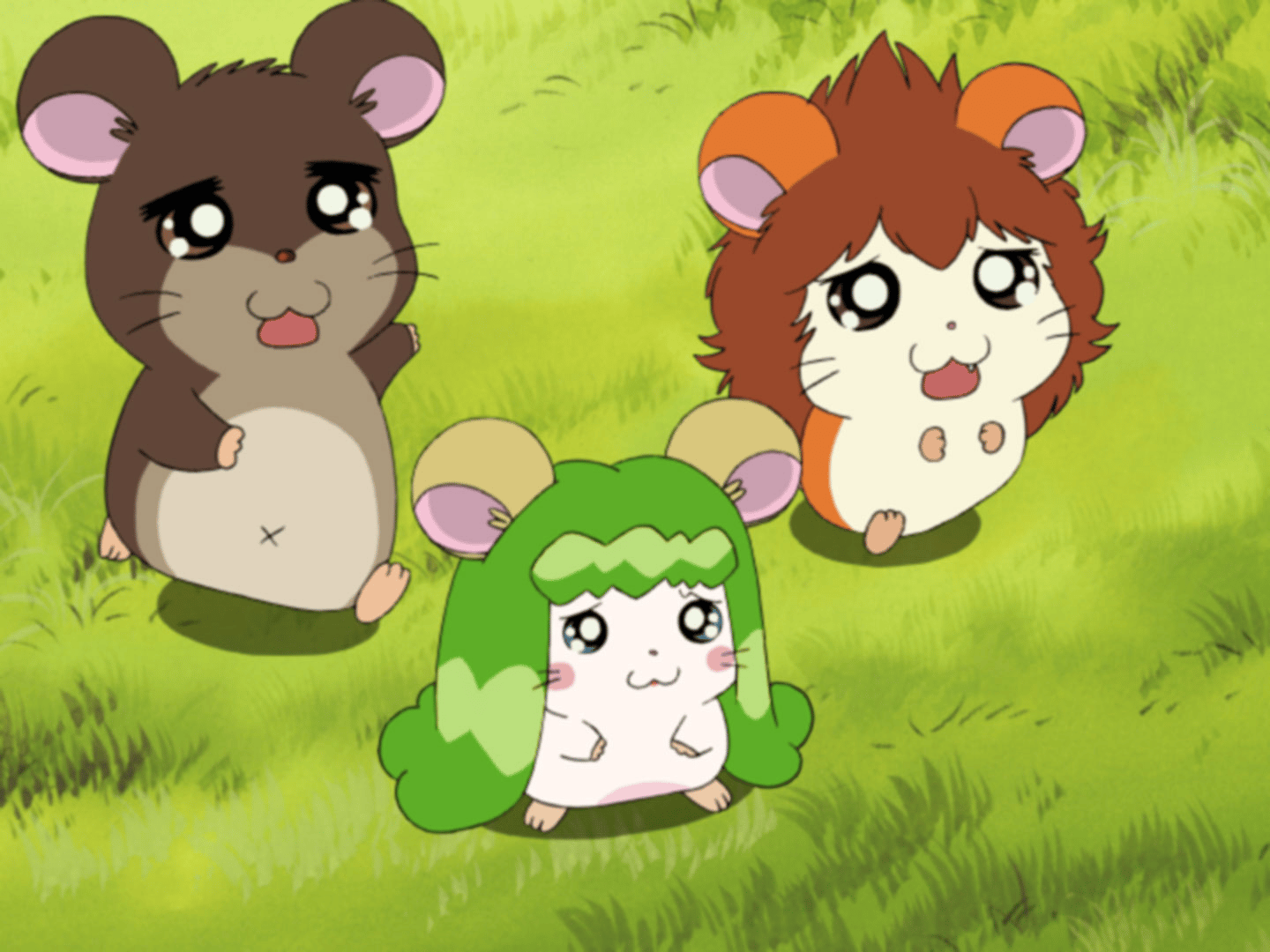 thumb002.png?height=144&