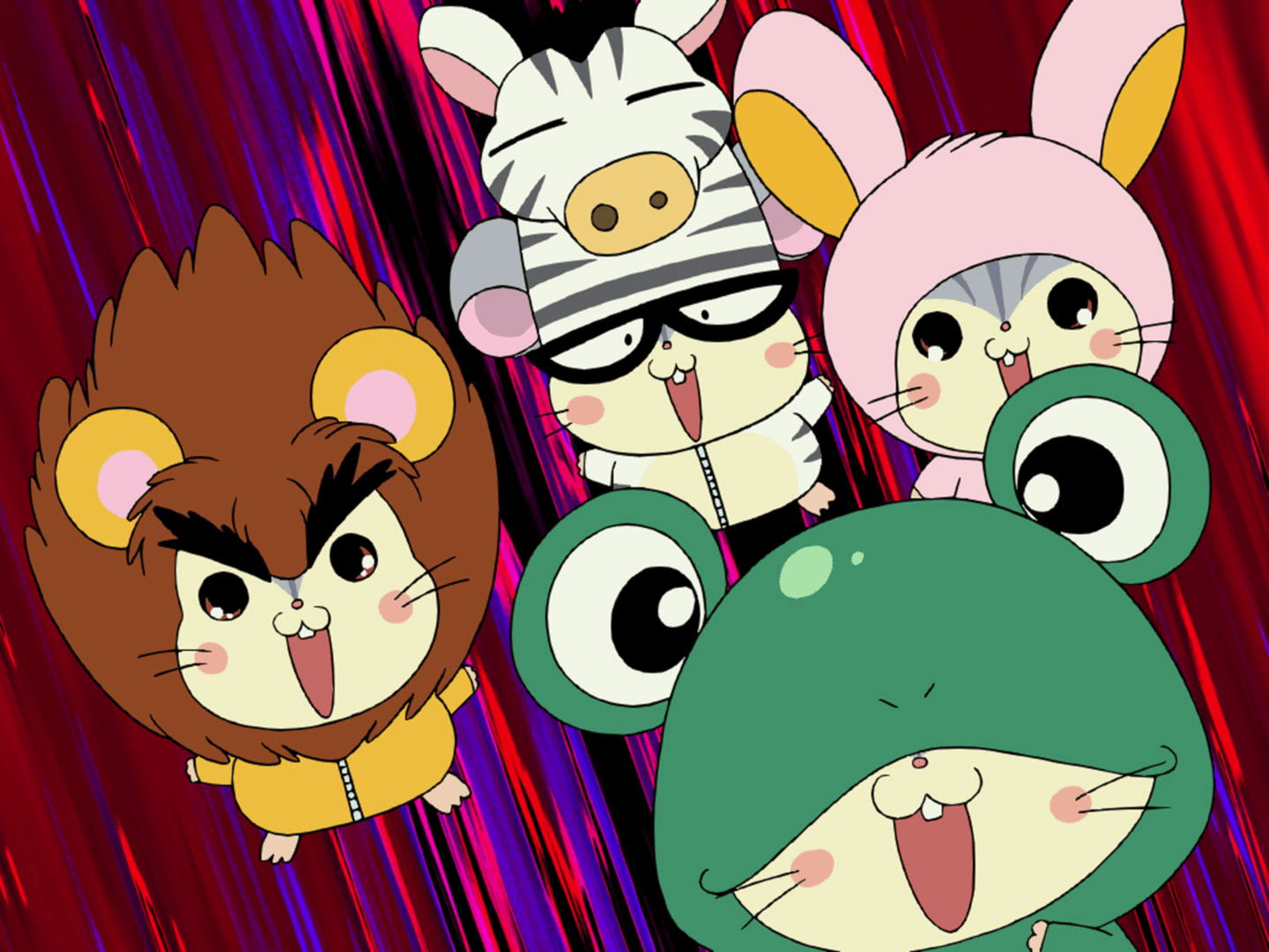 ハロー太郎様 2025年4月26日（土）よりMEDICOS SHOP新宿・アベノラクバスにて