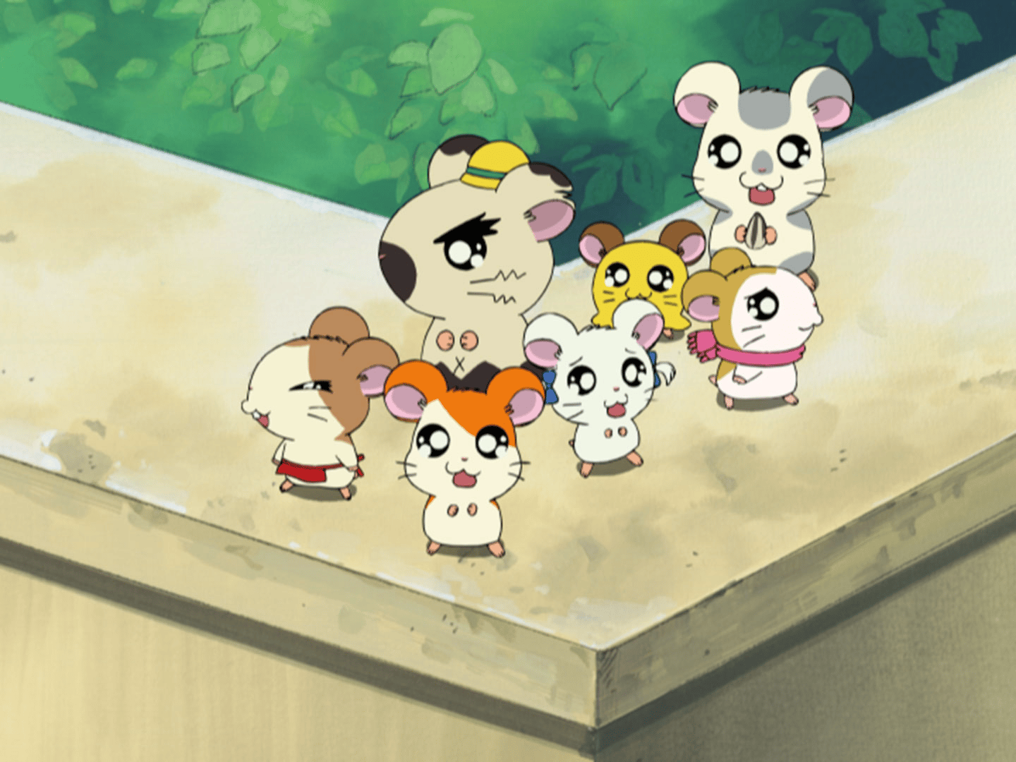 とっとこハム太郎 - とっとこハム太郎 はむはむぱらだいちゅ！ - 248話