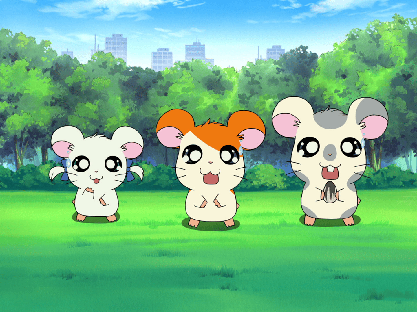 とっとと〜食べろよハム太郎♪♪様 リクエスト 3点 まとめ商品 ハムちゃんずたちがフロッキードールになって登場！ | ハム太郎