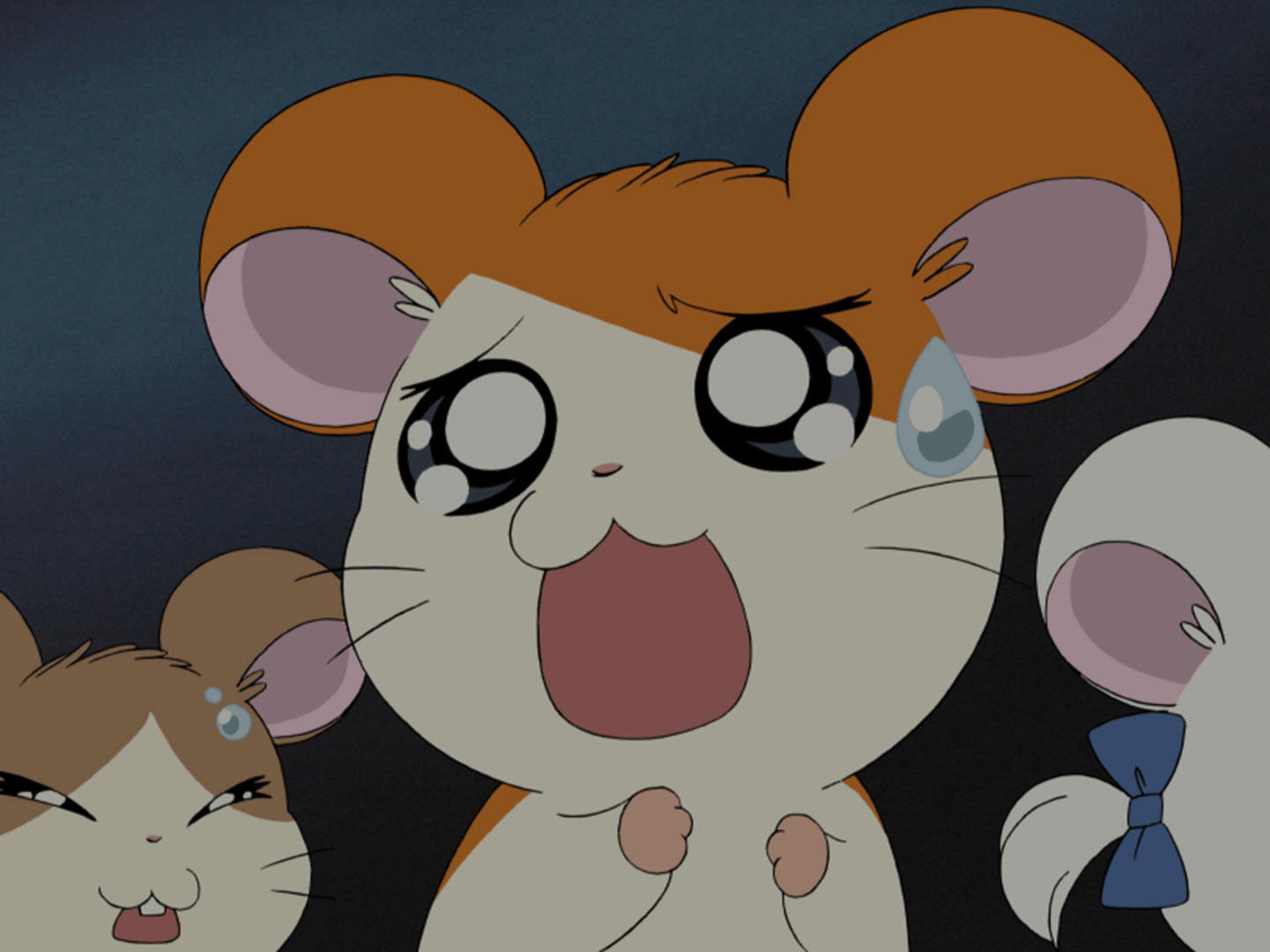 とっとこハム太郎 - とっとこハム太郎 はむはむぱらだいちゅ！ - 258話