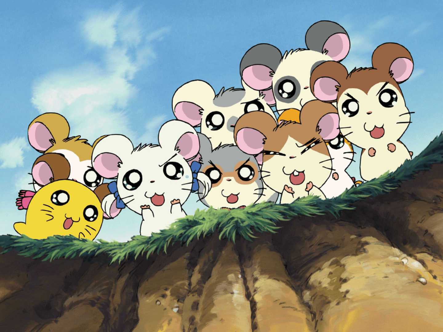 とっとこハム太郎 御影石 ハムスター こうし】 とっとこハム太郎×こう