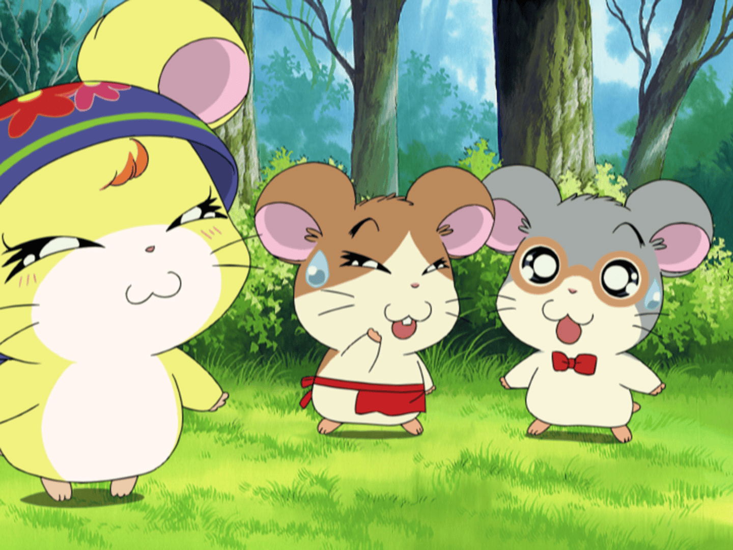 とっとこハム太郎 - とっとこハム太郎 はむはむぱらだいちゅ！ - 263話