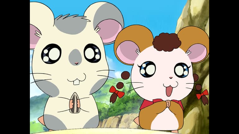 ハムちゃん とっとこハム太郎 - とっとこハム太郎 はむはむぱらだいちゅ