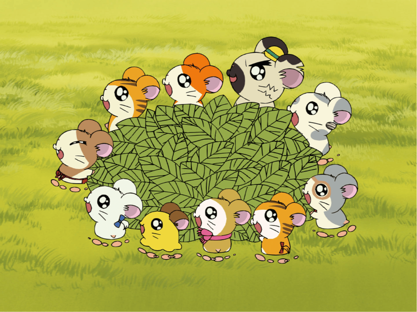 thumb002.png?height=720&