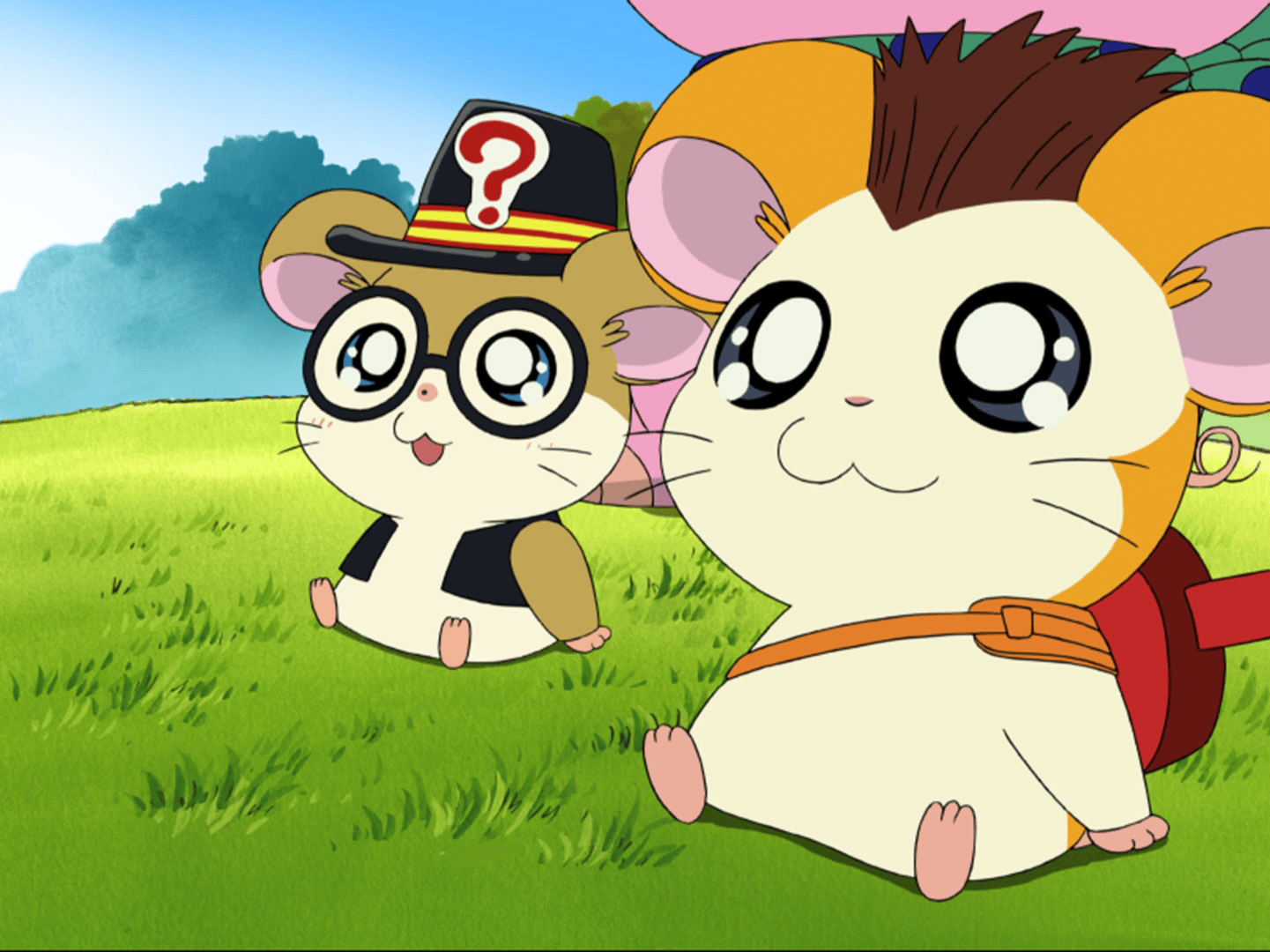 はむ太郎様 Amazon.co.jp: とっとこハム太郎(3) [VHS] : 間宮くるみ, 池澤春菜