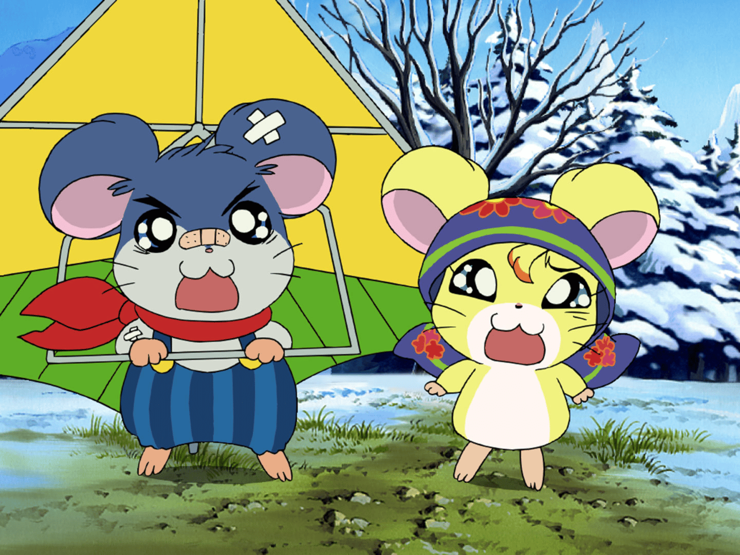 はむハム太郎さま 専用 ヒロ様専用 とっとこハム太郎 はむはむぱらだいちゅ！DVDセット