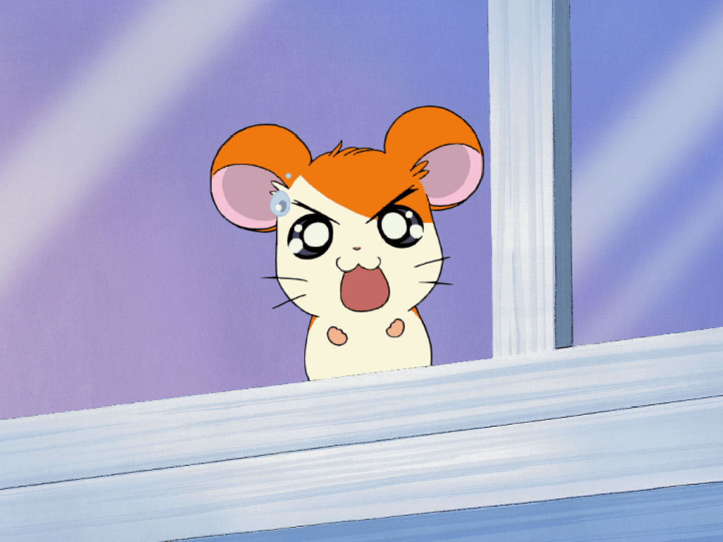 ハムの人　2 518yHEFjeHL._SY200_QL15_.jpg