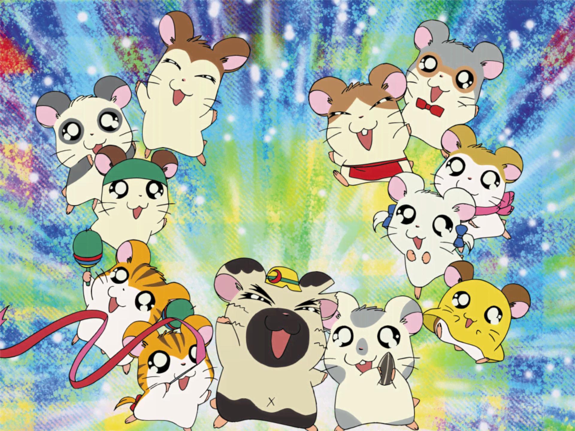 ハムちゃんずの宝さがし大作戦 〜はむはー!!すてきな海のなつ