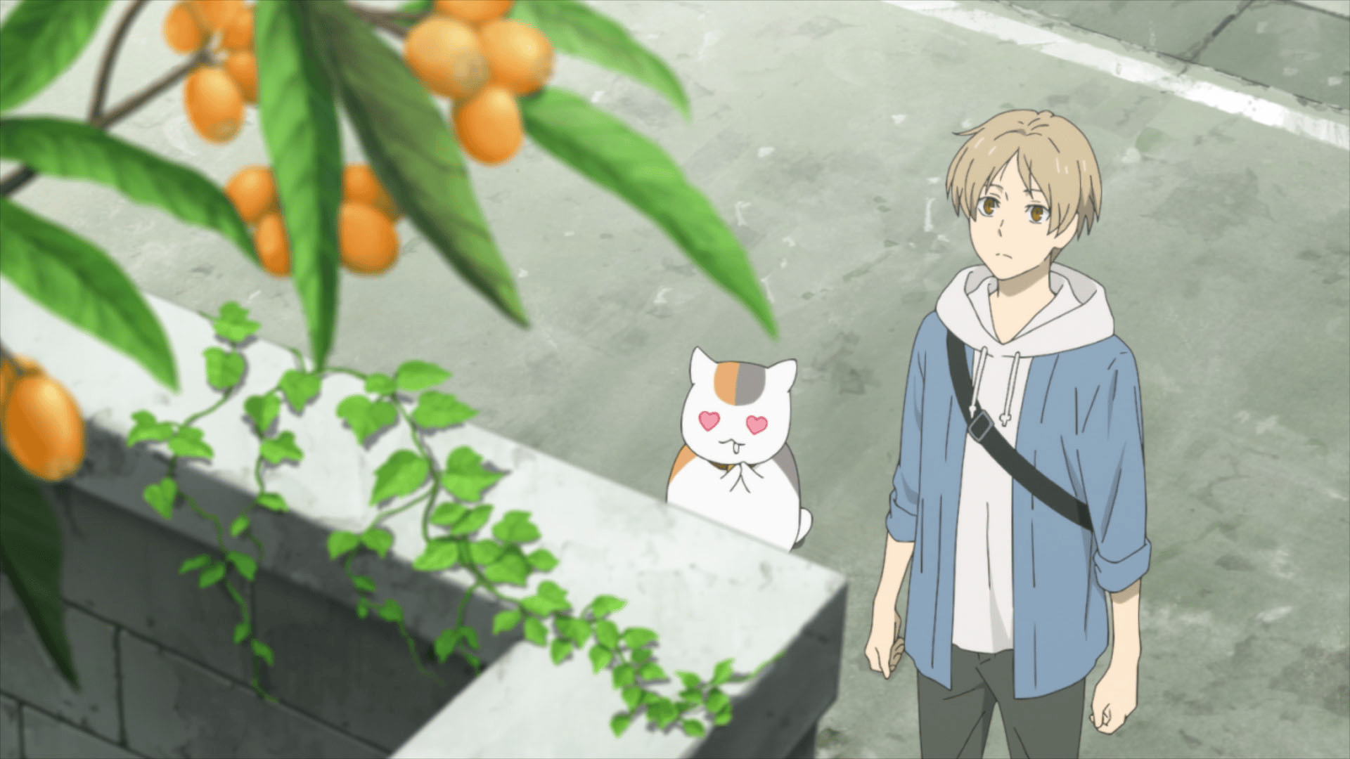 夏目友人帳　第3シリーズ　台本　第9話 夏目友人帳 - 夏目友人帳 参 - 9話 (アニメ) | 無料動画・見逃し配信を