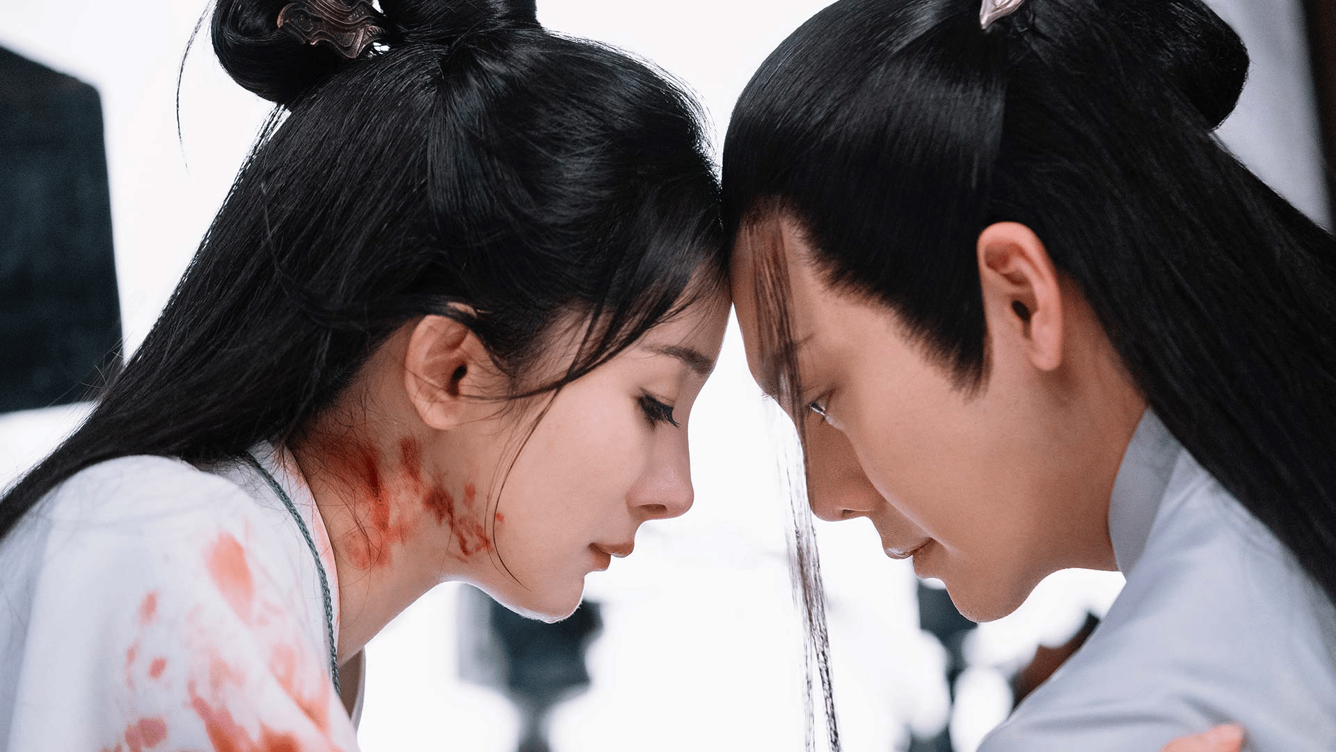 斛珠夫人　全話 第48話 終わらない伝説（最終話） | 中国ドラマ 「斛珠