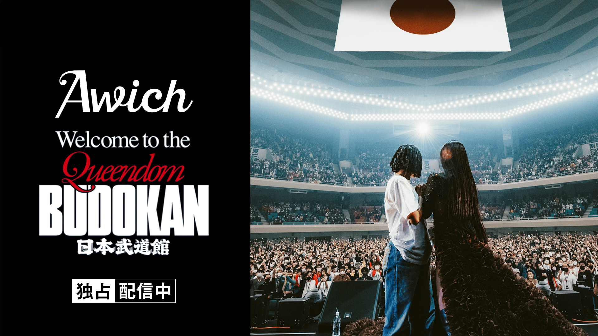 激レア クイーン 武道館チケット 激レア クイーン 武道館チケット