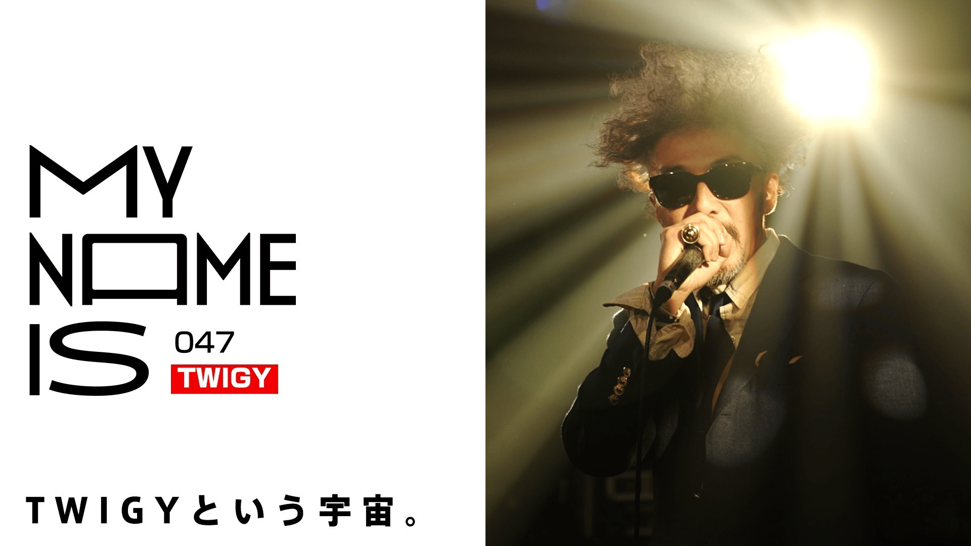 guca owl WILYWANKレコード guca owl WILYWANKレコード