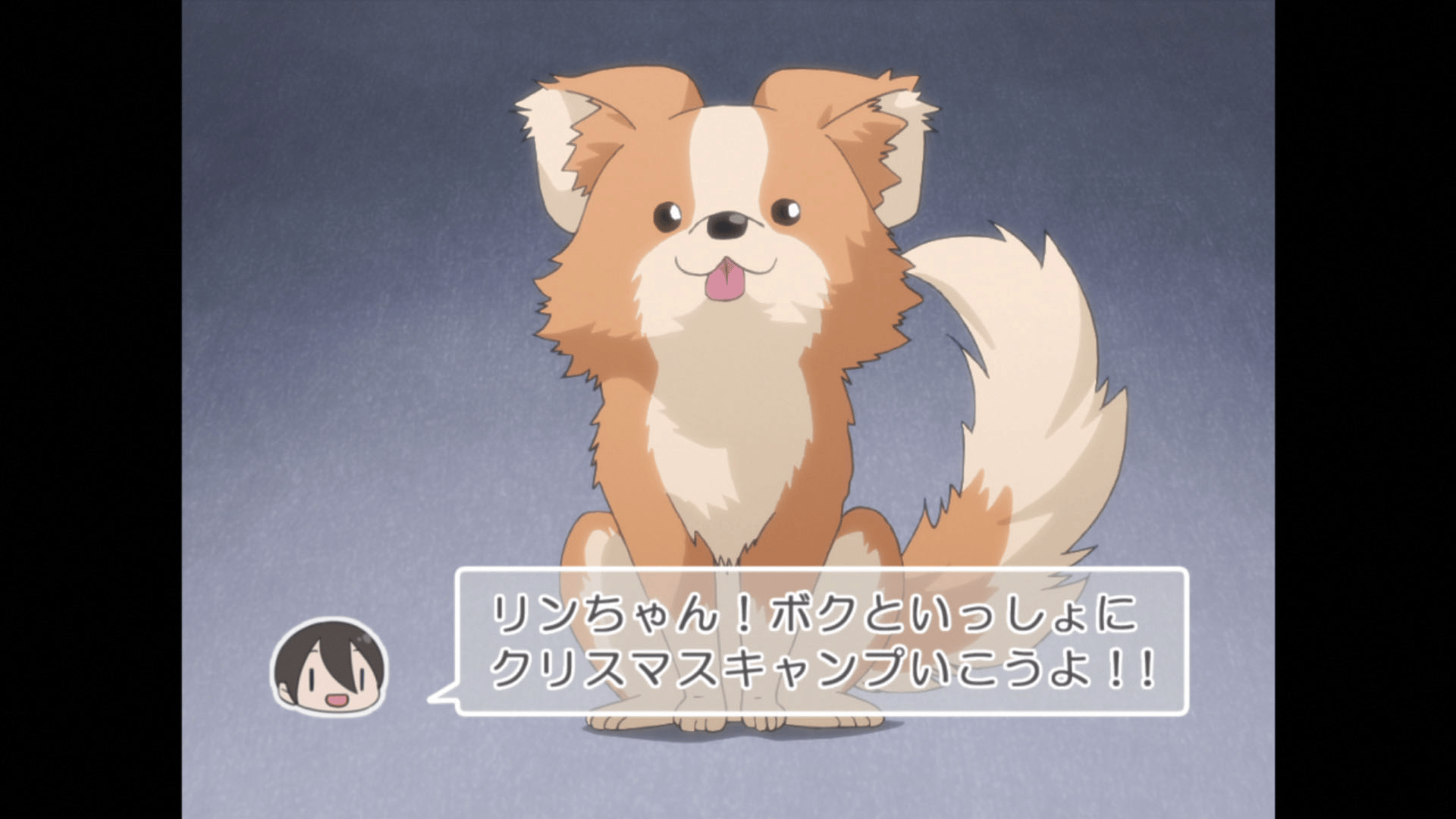 第10話 旅下手さんとキャンプ会議