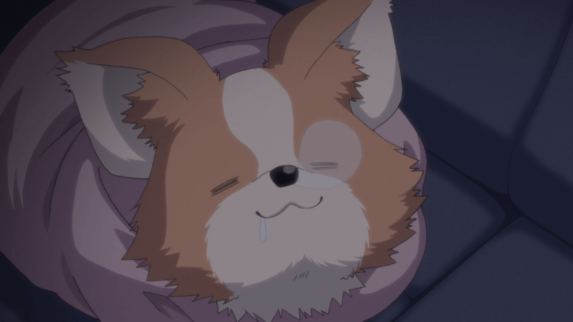 第12話 ふじさんとゆるキャンガール