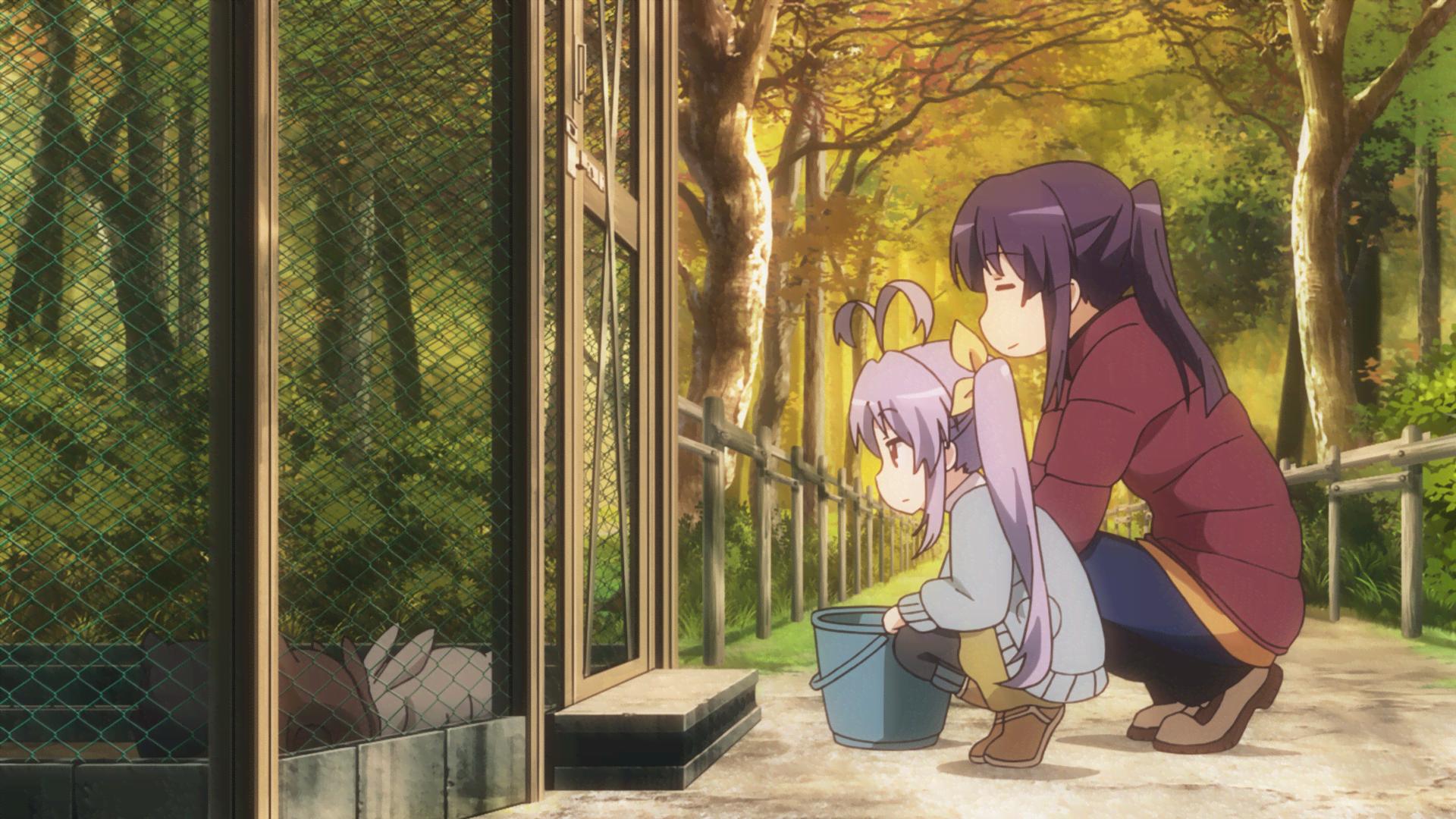 のんのんびより - season1 - 10話 (アニメ) | 無料動画・見逃し配信を