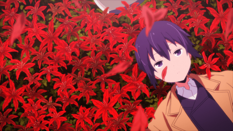 thumb001.png?height=720&