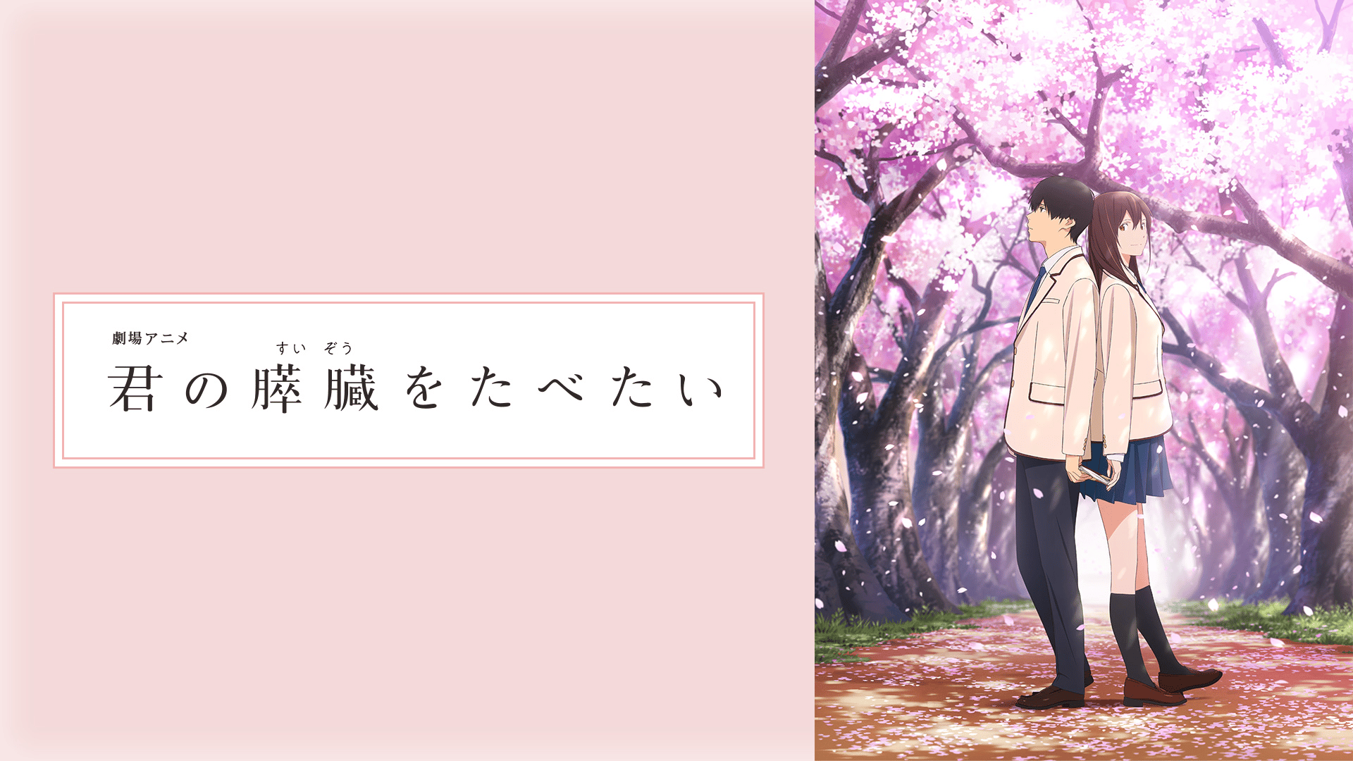 WEB最速】劇場アニメ『君の膵臓をたべたい』公開記念特番