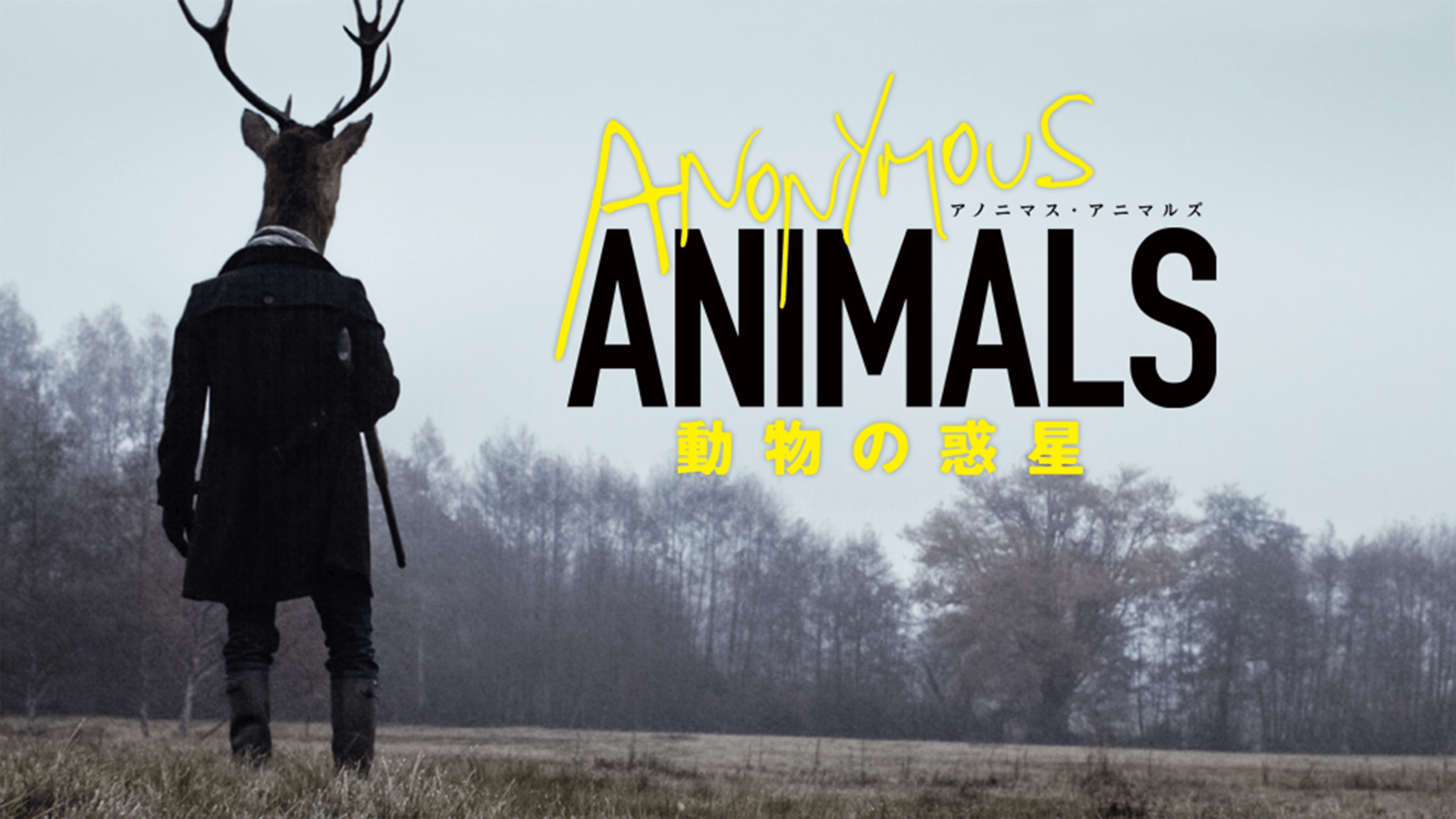 thumb001.png?height=144&