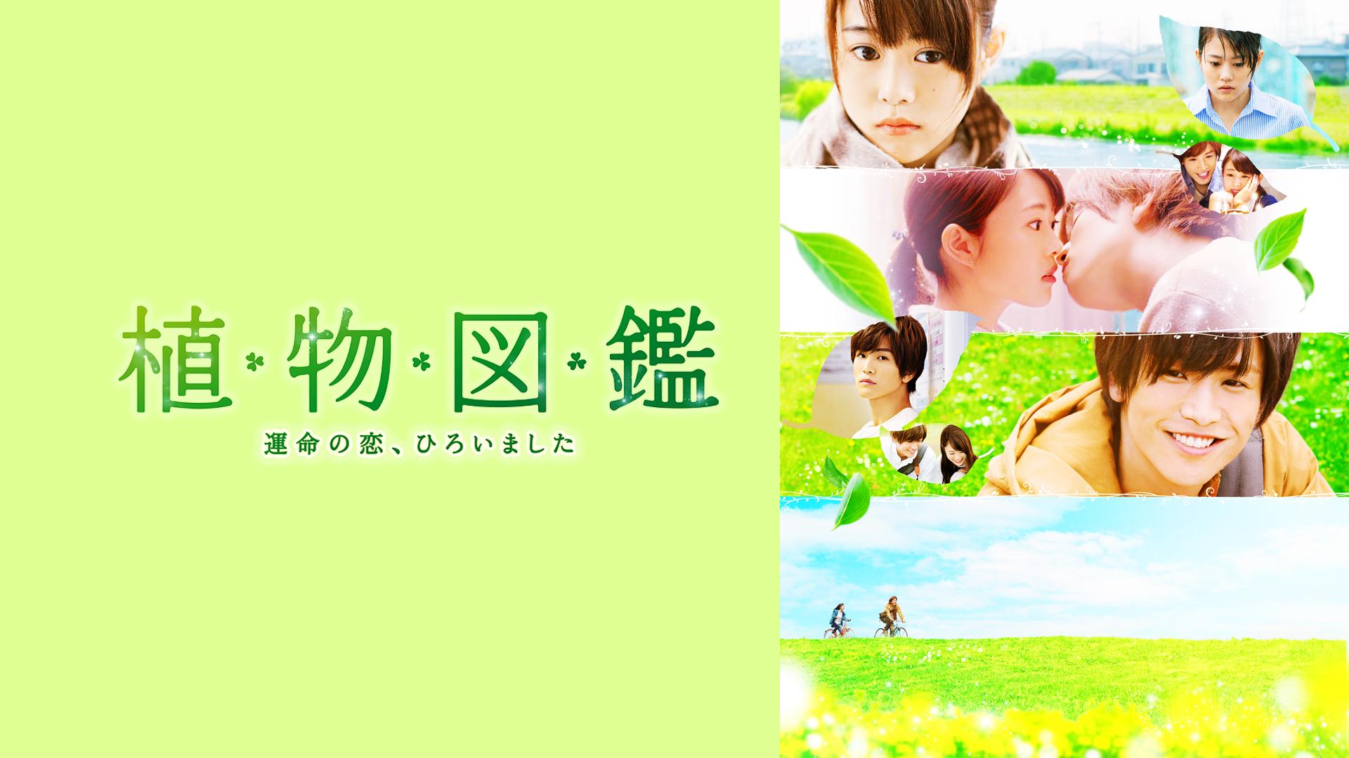 植物図鑑 運命の恋、ひろいました【ABEMA映画館】 | 新しい未来の