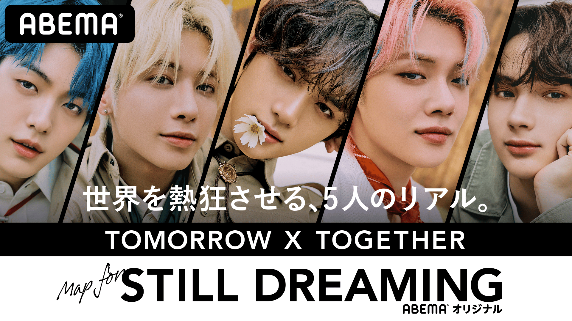 TXT stilldreaming スペシャルDVD TOMORROW X TOGETHER - STILL DREAMING [Standard Edition CD