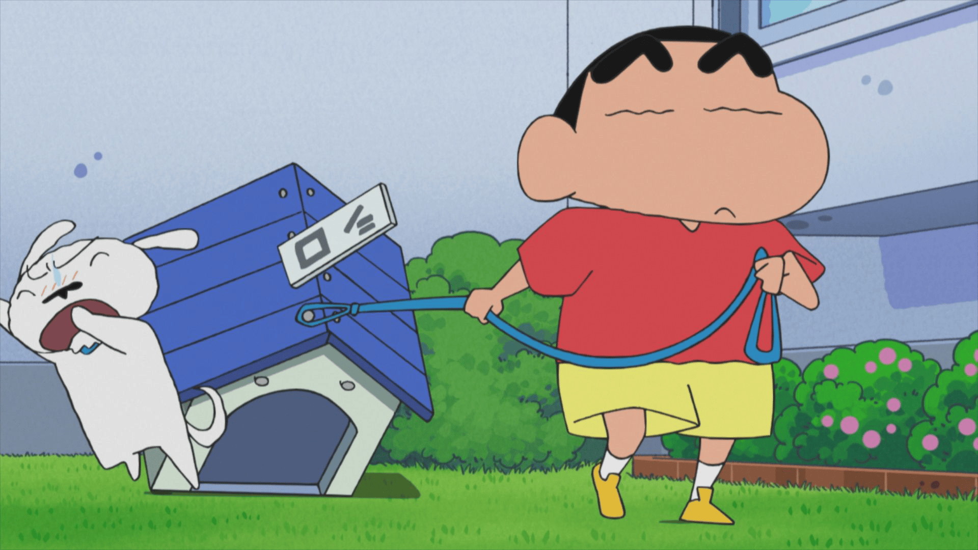 thumb001.png?height=720&