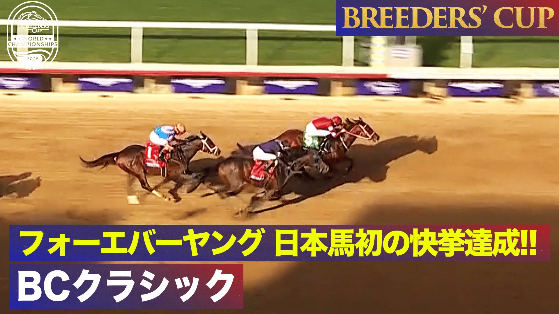 フォーエバーヤング ブリーダーズカップクラシック 現地単勝馬券 プログラム フォーエバーヤング ブリーダーズカップクラシック 現地単勝馬券