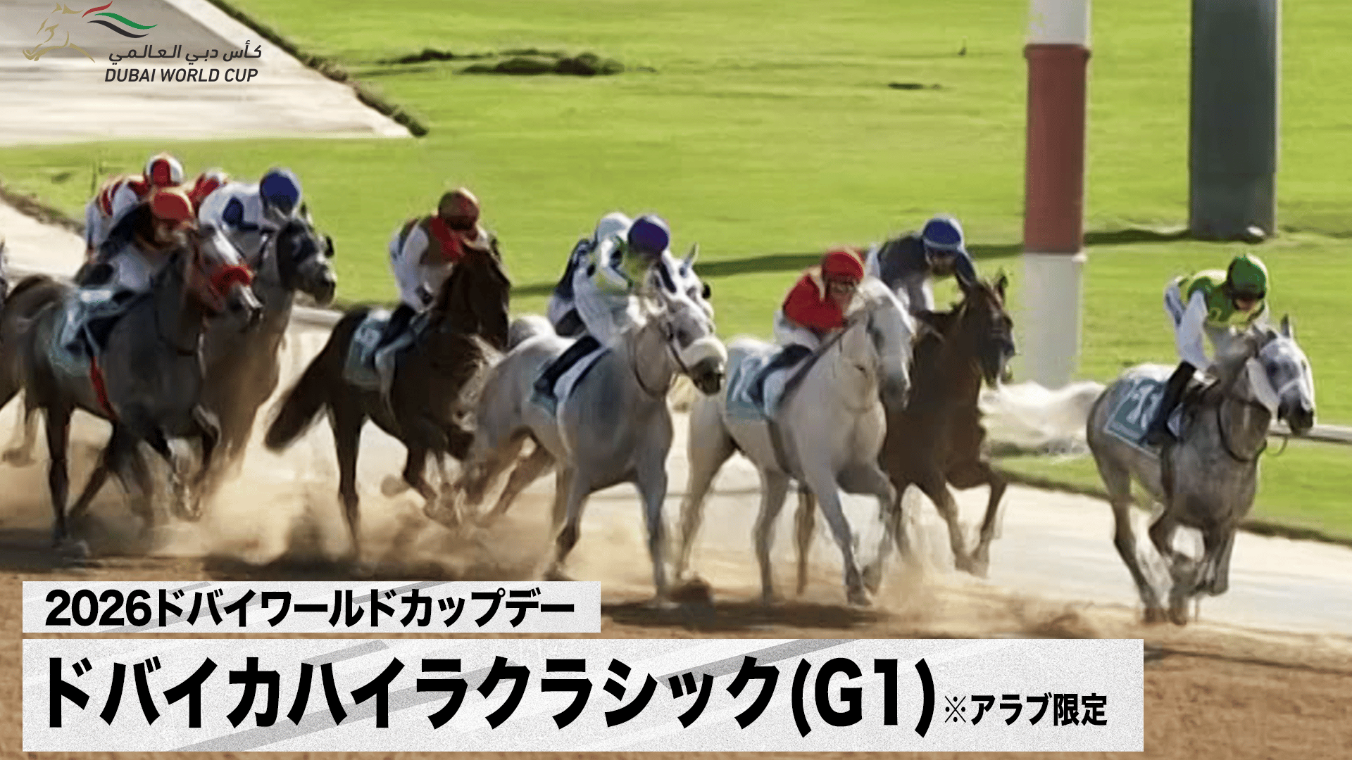 ドバイカハイラクラシック(G1) ※アラブ限定【2026ドバイワールドカップ
