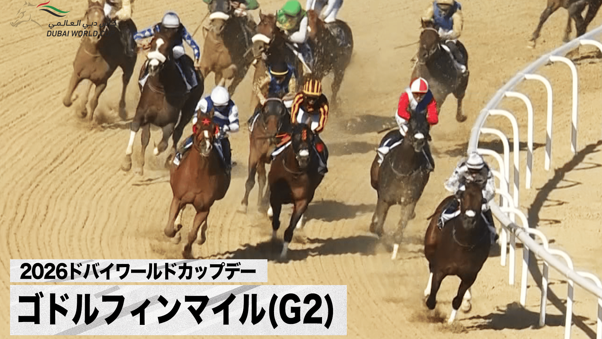 ドバイゴールデンシャヒーン(G1) 日本馬・アメリカンステージ出走