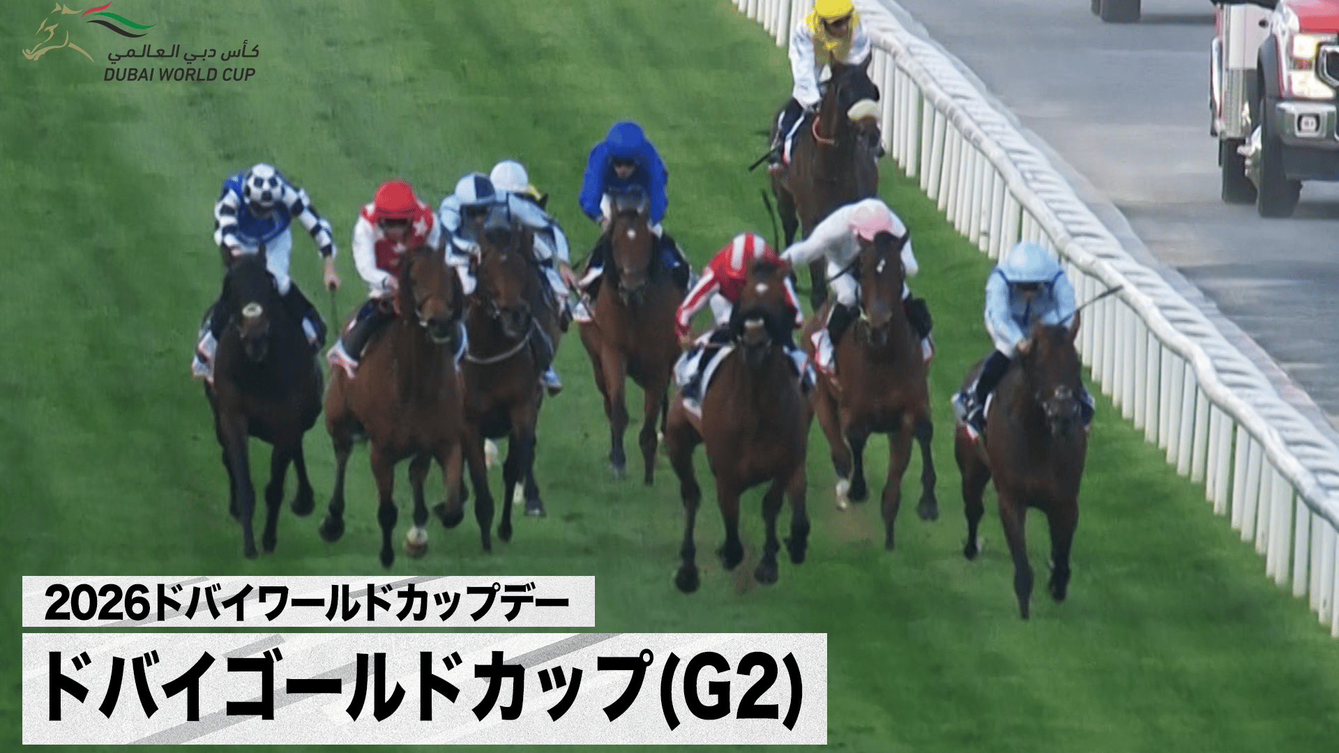 ドバイゴールデンシャヒーン(G1) 日本馬・アメリカンステージ出走