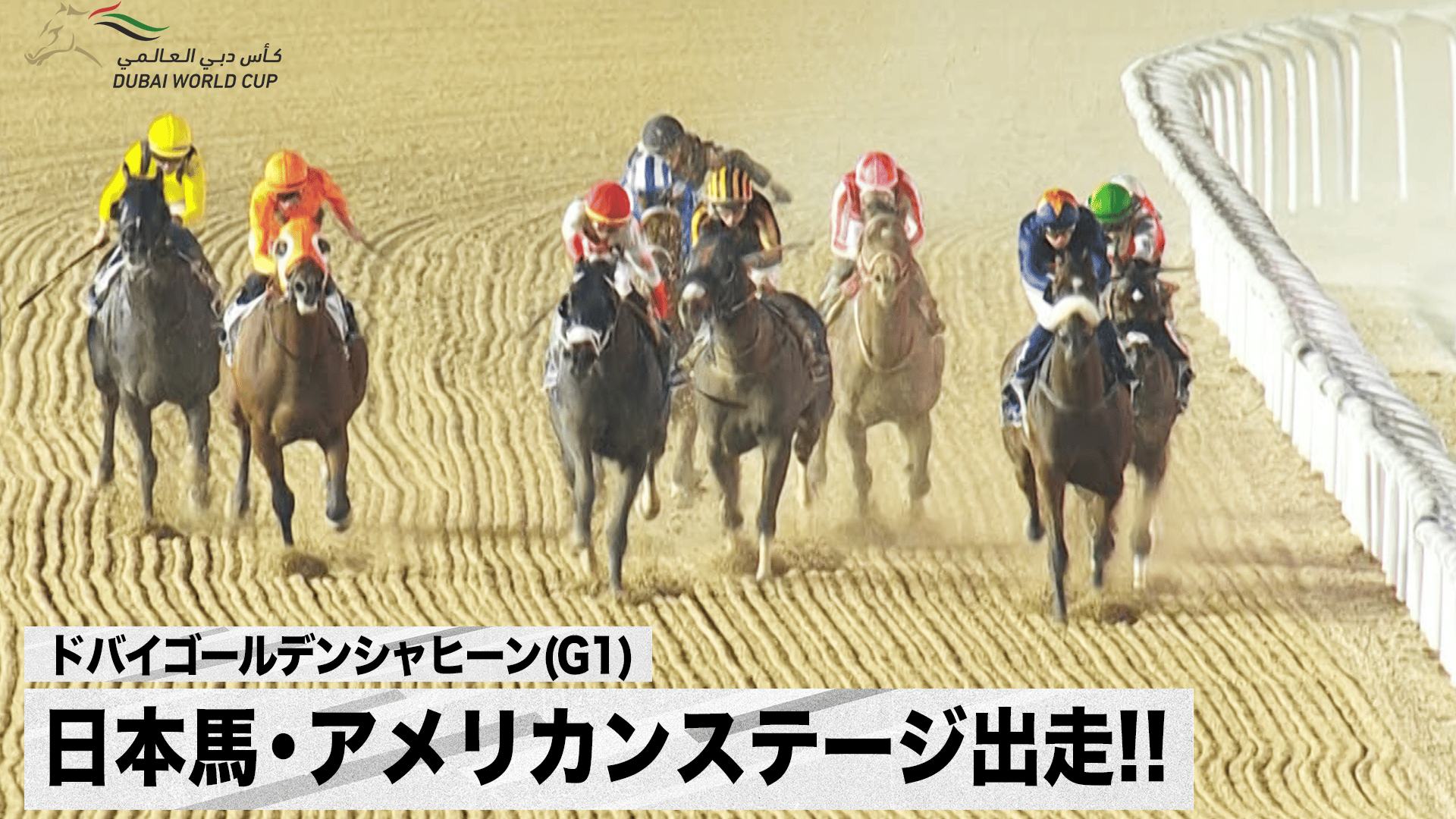 2022年ドバイワールドカップデイ・ドバイゴールデンシャヒーン 関係者限定パス ドバイゴールデンシャヒーン(G1) 日本馬・アメリカンステージ出走
