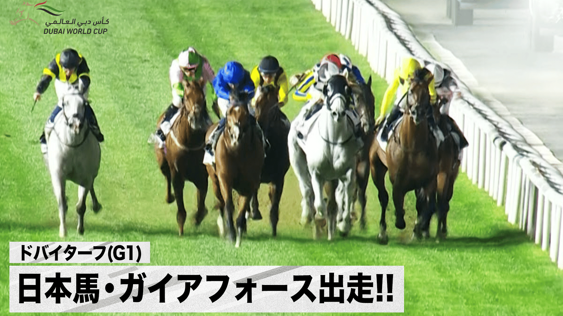 ドバイゴールデンシャヒーン(G1) 日本馬・アメリカンステージ出走