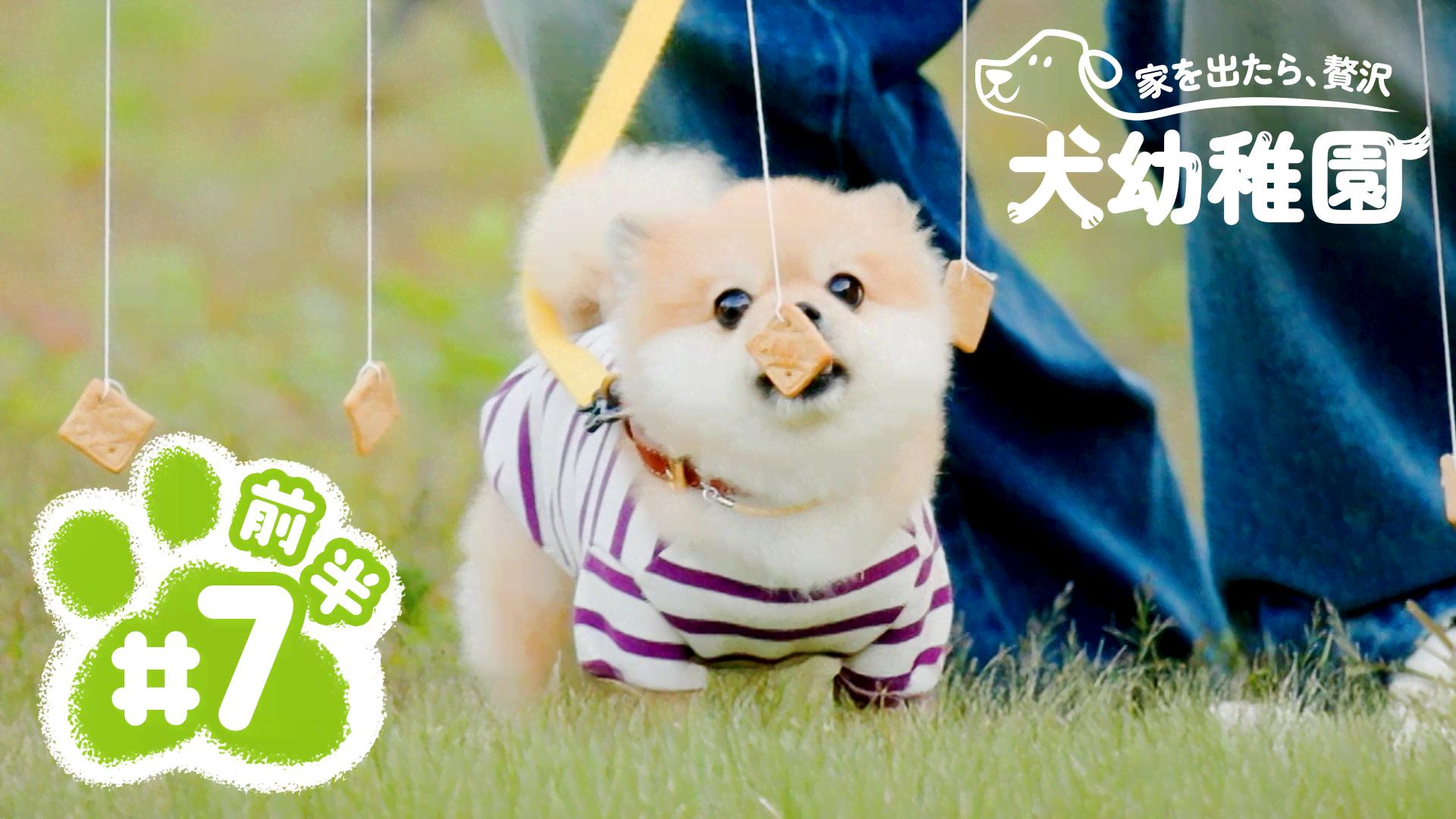 家を出たら、贅沢 ~犬幼稚園~ - シーズン1 - 第7話-前半 初めてのSTAY
