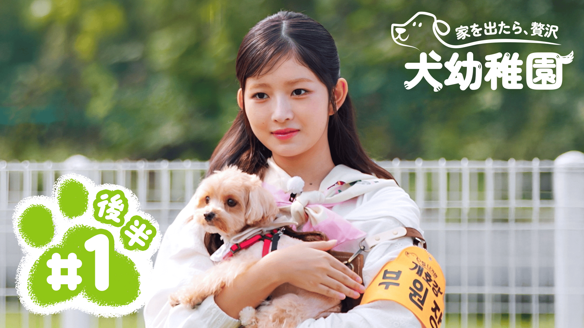 thumb002.png?height=720&