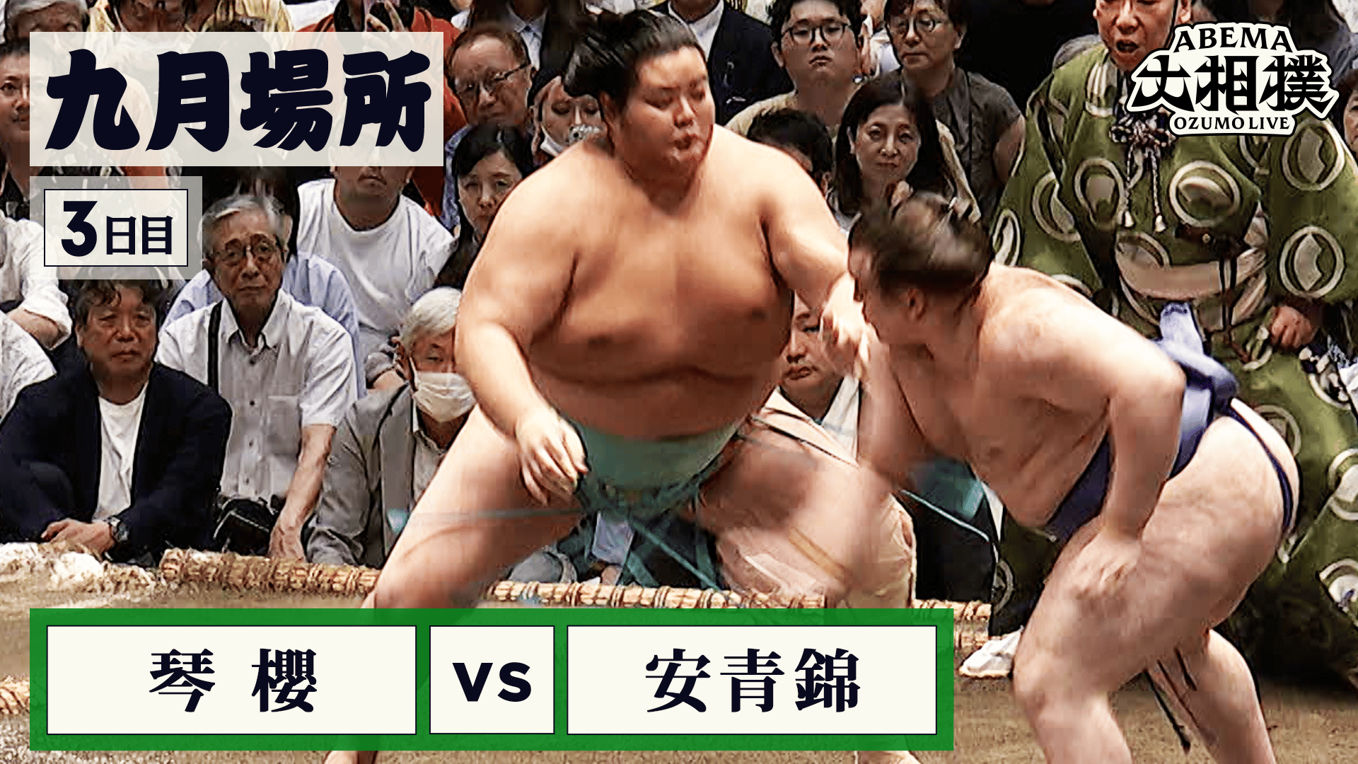 琴櫻(大関) vs 安青錦(小結) - ABEMA大相撲2025 - 注目取組(幕内