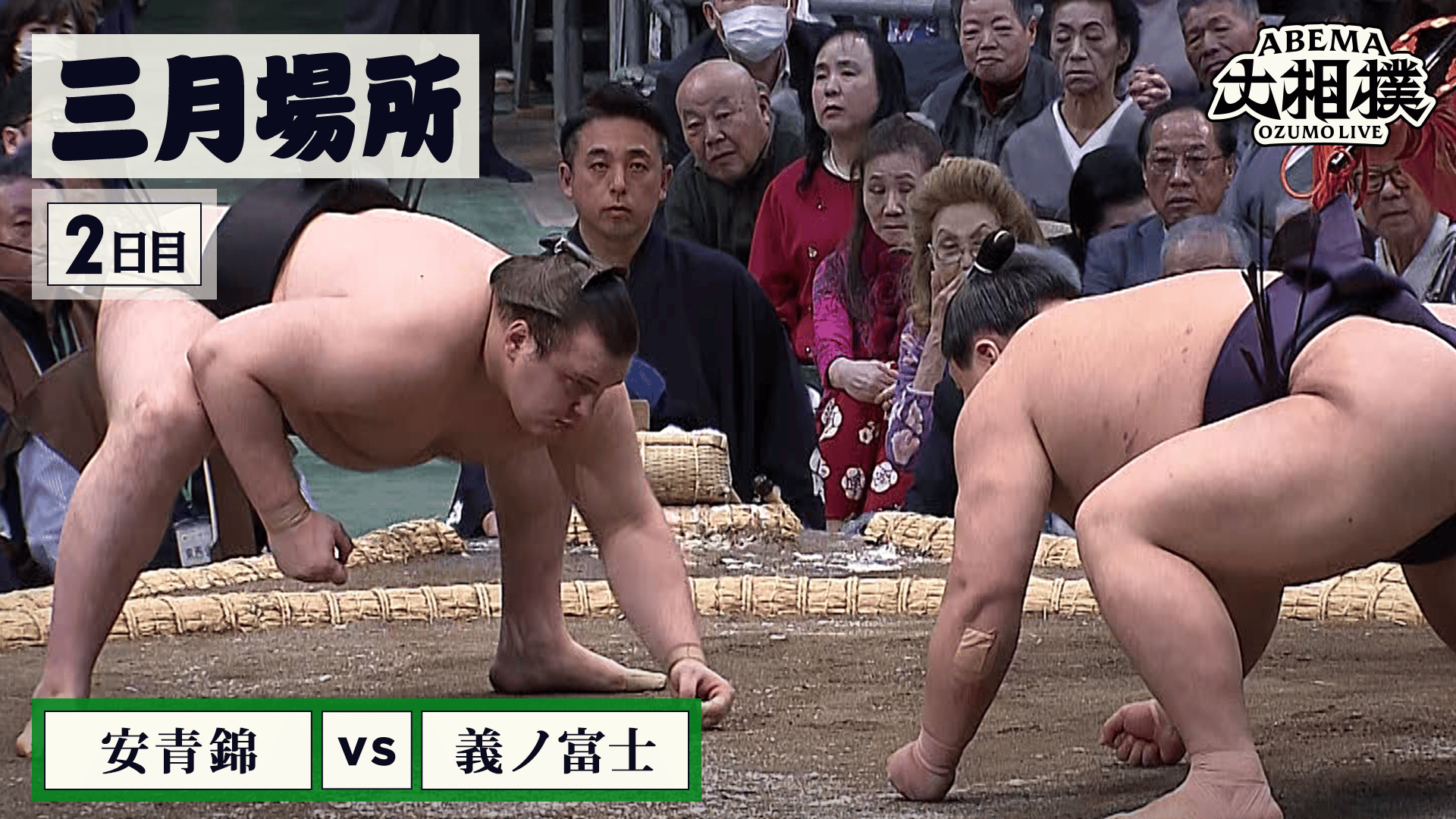 ABEMA大相撲2026 - 安青錦(大関)vs義ノ富士(前頭1)|3月場所 2日目 3.9