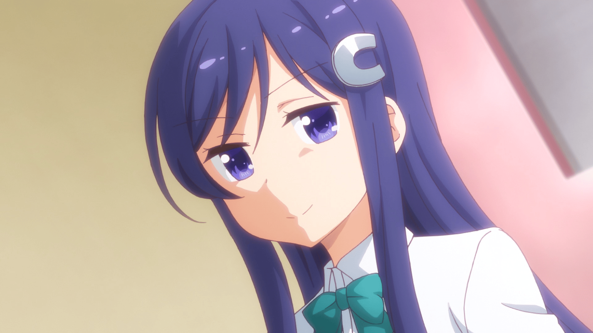 アニマエール TVアニメ『アニマエール!』公式サイト