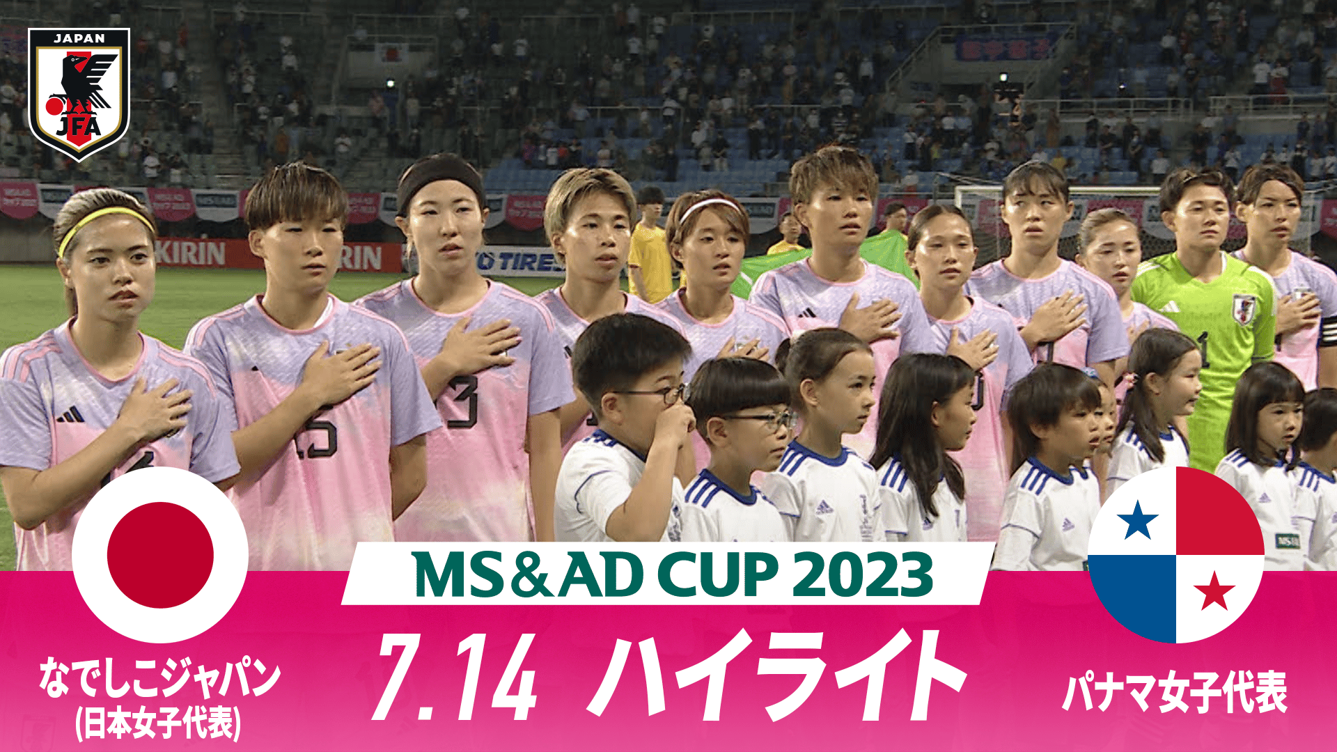 なでしこジャパン実使用球 2012年 なでしこジャパン実使用球 2012年