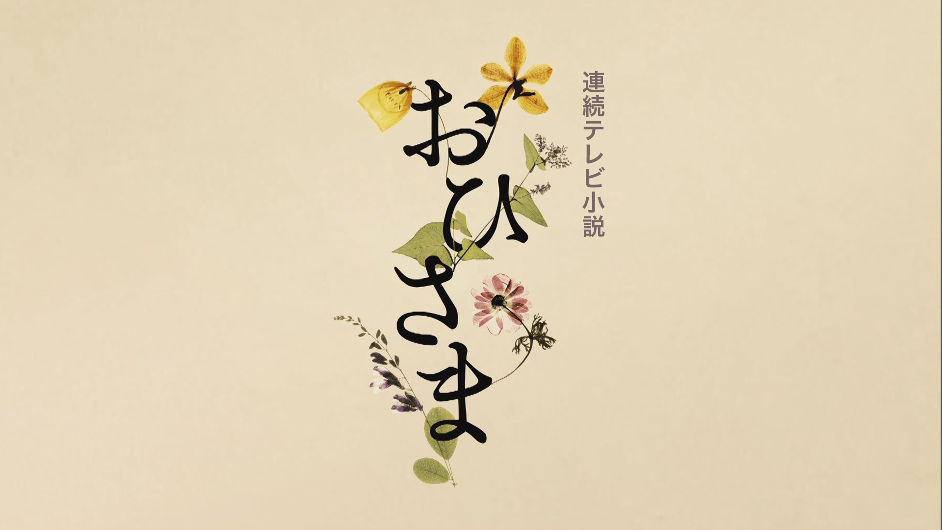 ドラマCHで放送中！】連続テレビ小説 おひさま 第48回 それぞれの朝(6