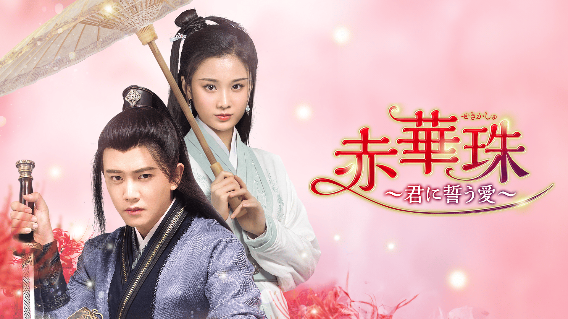 赤華珠［せきかしゅ］〜君に誓う愛〜　ＤＶＤ−ＢＯＸ１ : 赤華珠［せきかしゅ］～君に誓う愛～ DVD-BOX1 : アレン