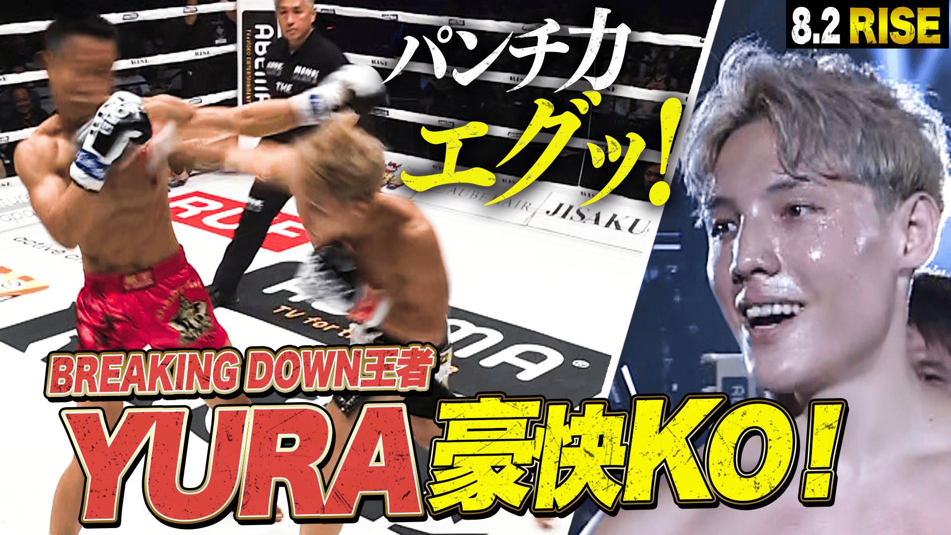 円の支配者 リチャード・A・ウェルナ 円の支配者 | 草思社